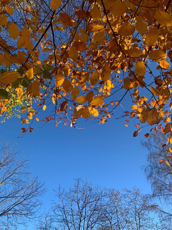 La colazione dell'eremita edizione autunnale