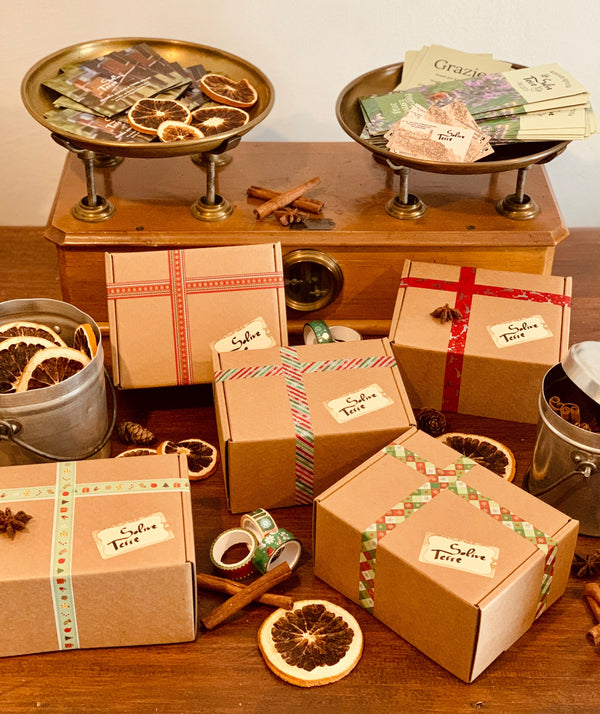 Natale sta arrivando 2025!