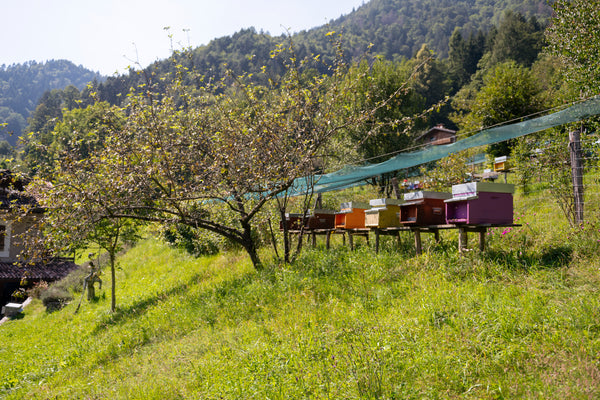 Bambini in azienda agricola: due appuntamenti per i più piccoli