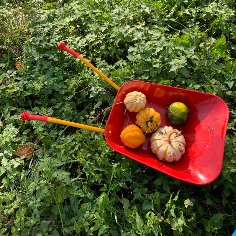 Laboratorio “zucca dipinta”